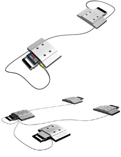Standard Wheel Load Scales